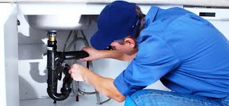 Best Commercial Plumbing Services  in Forrest, IL